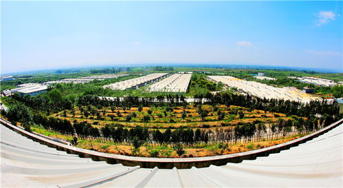 謀定后動(dòng)譜華章，氣勢(shì)如虹唱大風(fēng) 論新時(shí)代景區(qū)管理的智慧與氣魄